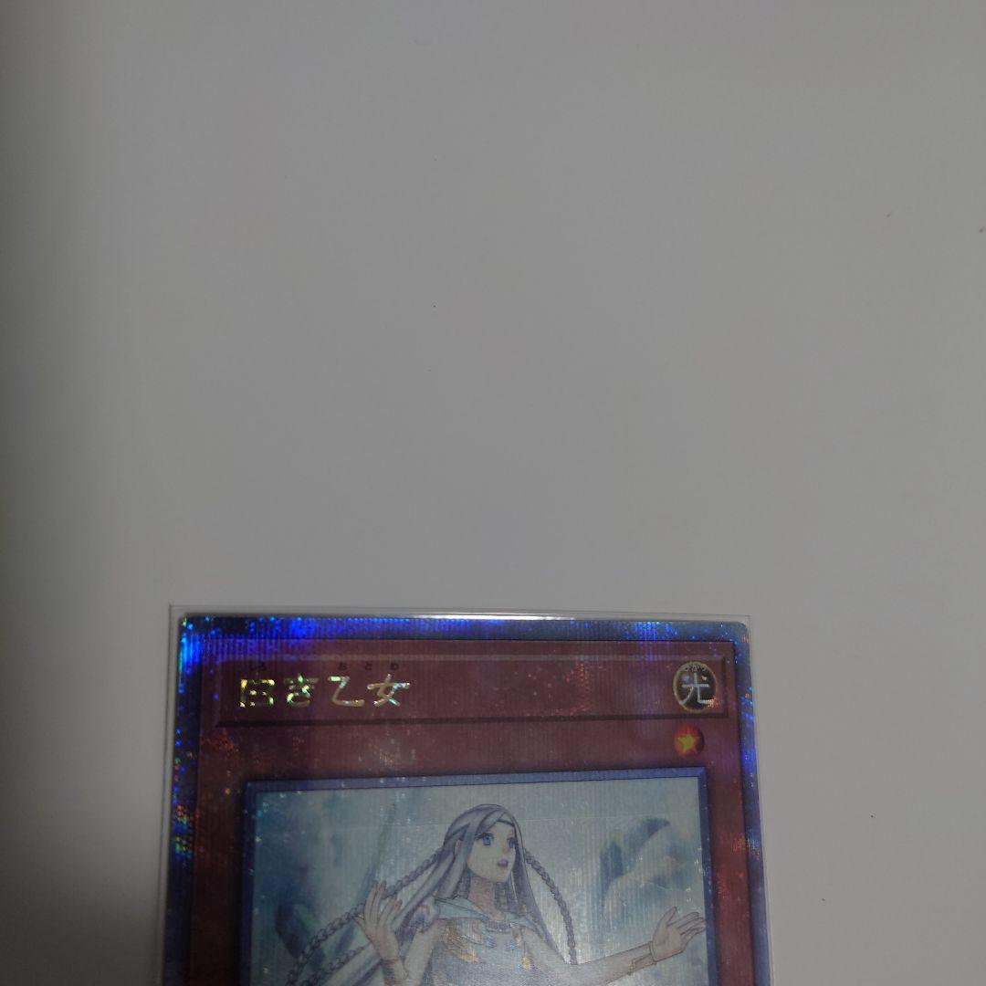 白き乙女　25th　3枚セット