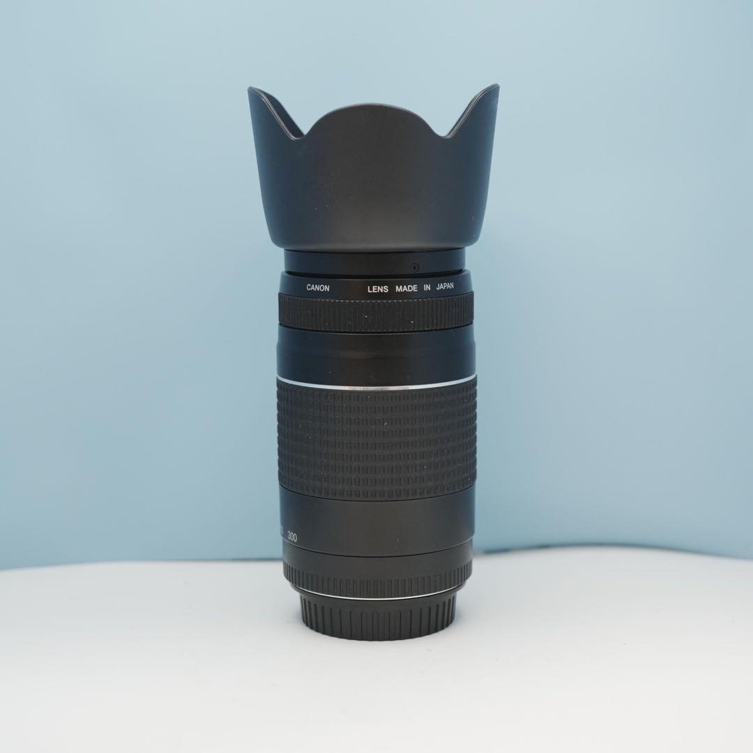 Canon純正 75-300mm 望遠レンズ 美品 a4526