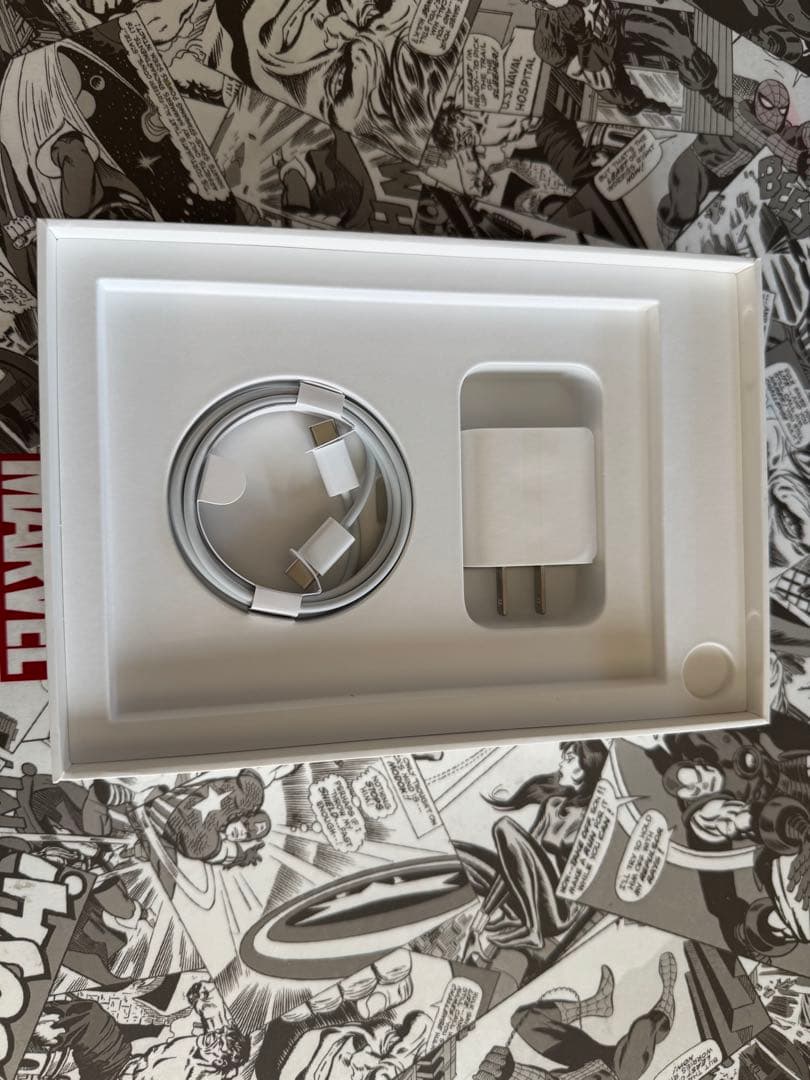 Apple iPad mini (第6世代) 256GB