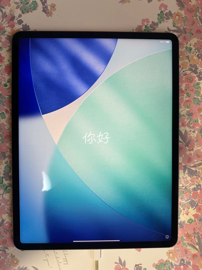 iPad Pro (12.9インチ) 第5世代　512GB