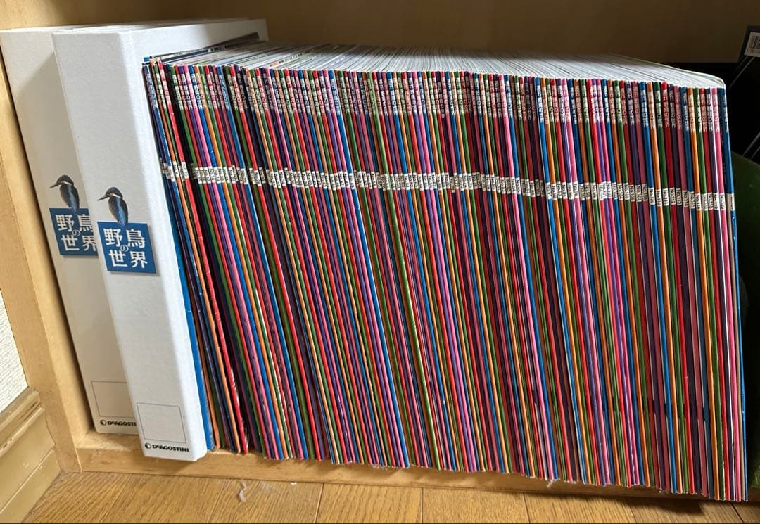 週刊　野鳥の世界　全121号セット【専用バインダー付き】