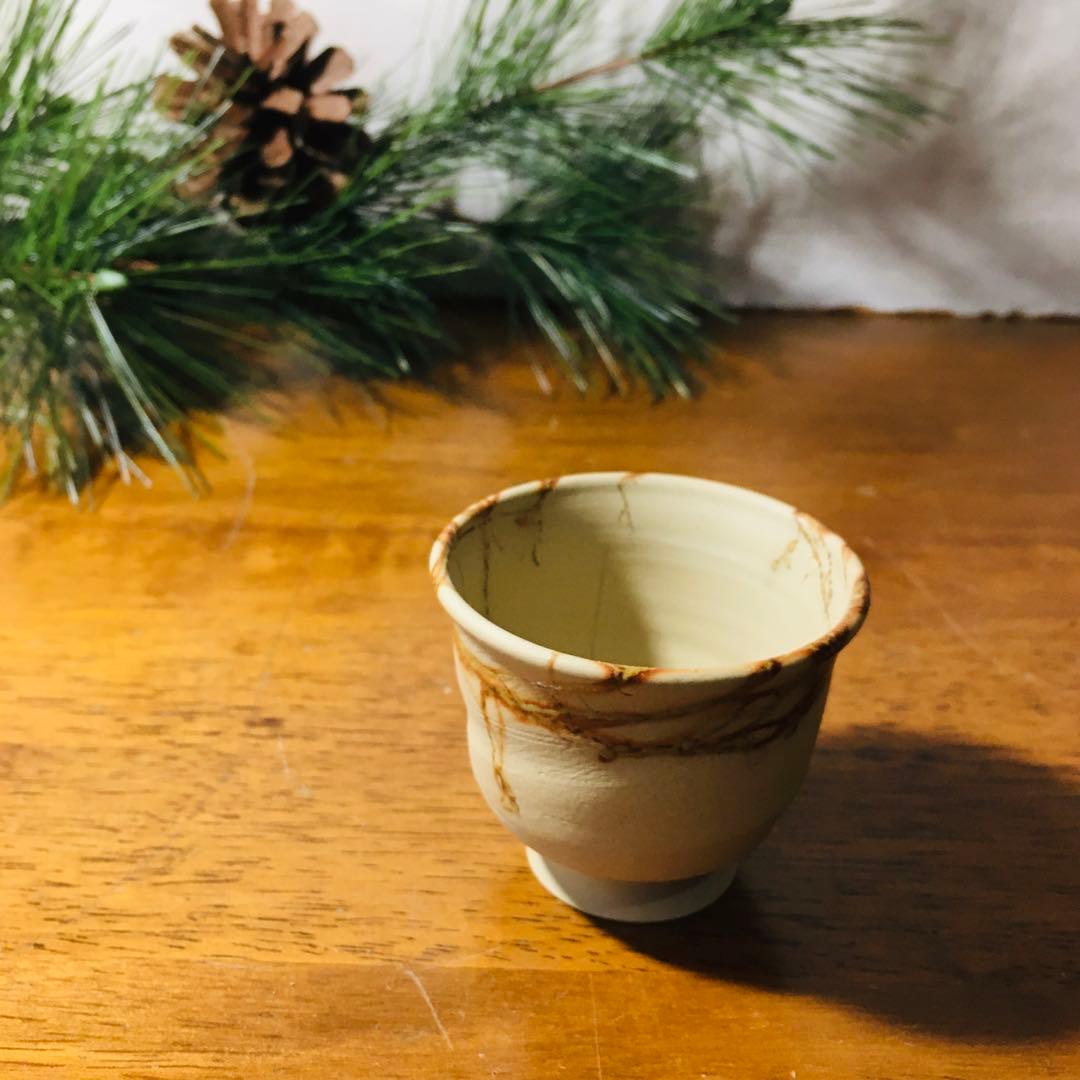 【新品未使用品】常滑焼 　谷川仁　白泥藻掛　煎茶器揃　茶托付き　共箱なし