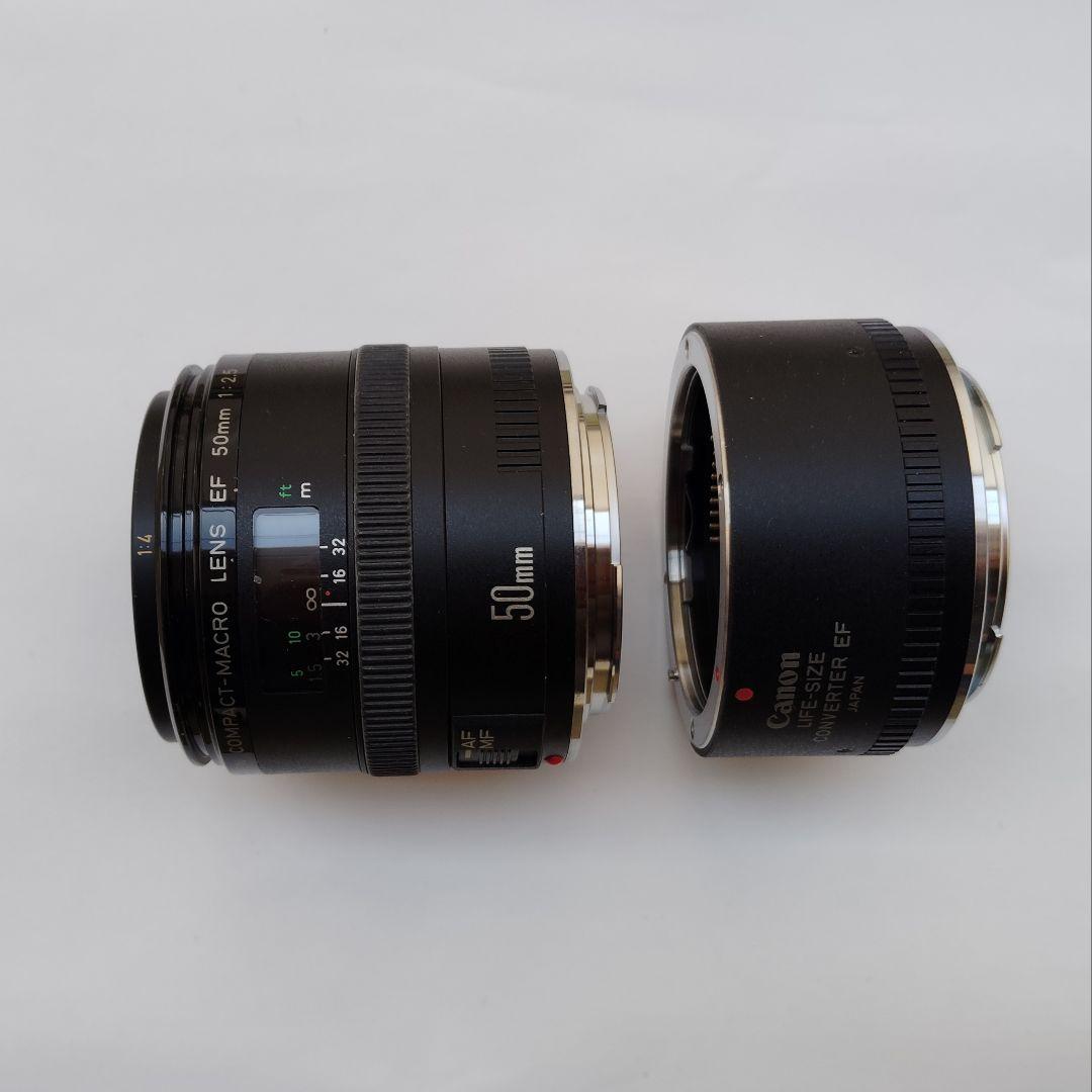 キャノン コンパクトマクロレンズ＋ライフサイズコンバーター