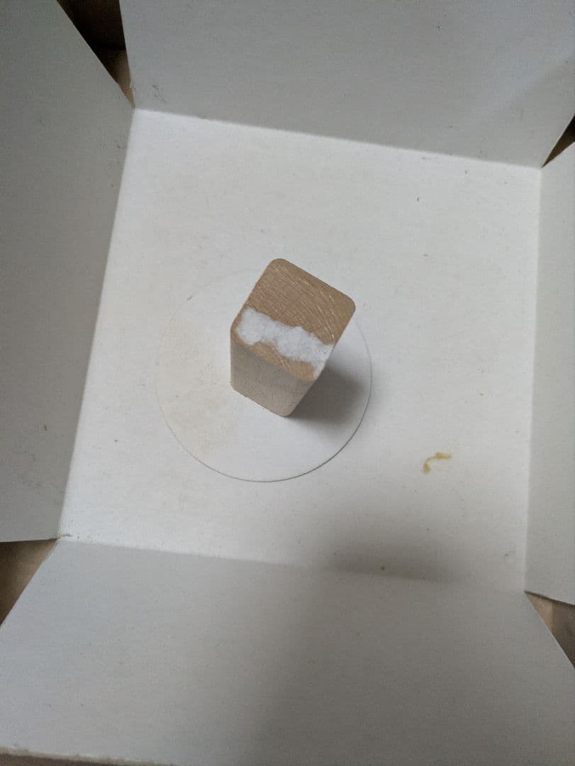 廃盤Scalino 木製積み木 スカリーノ フォレスト