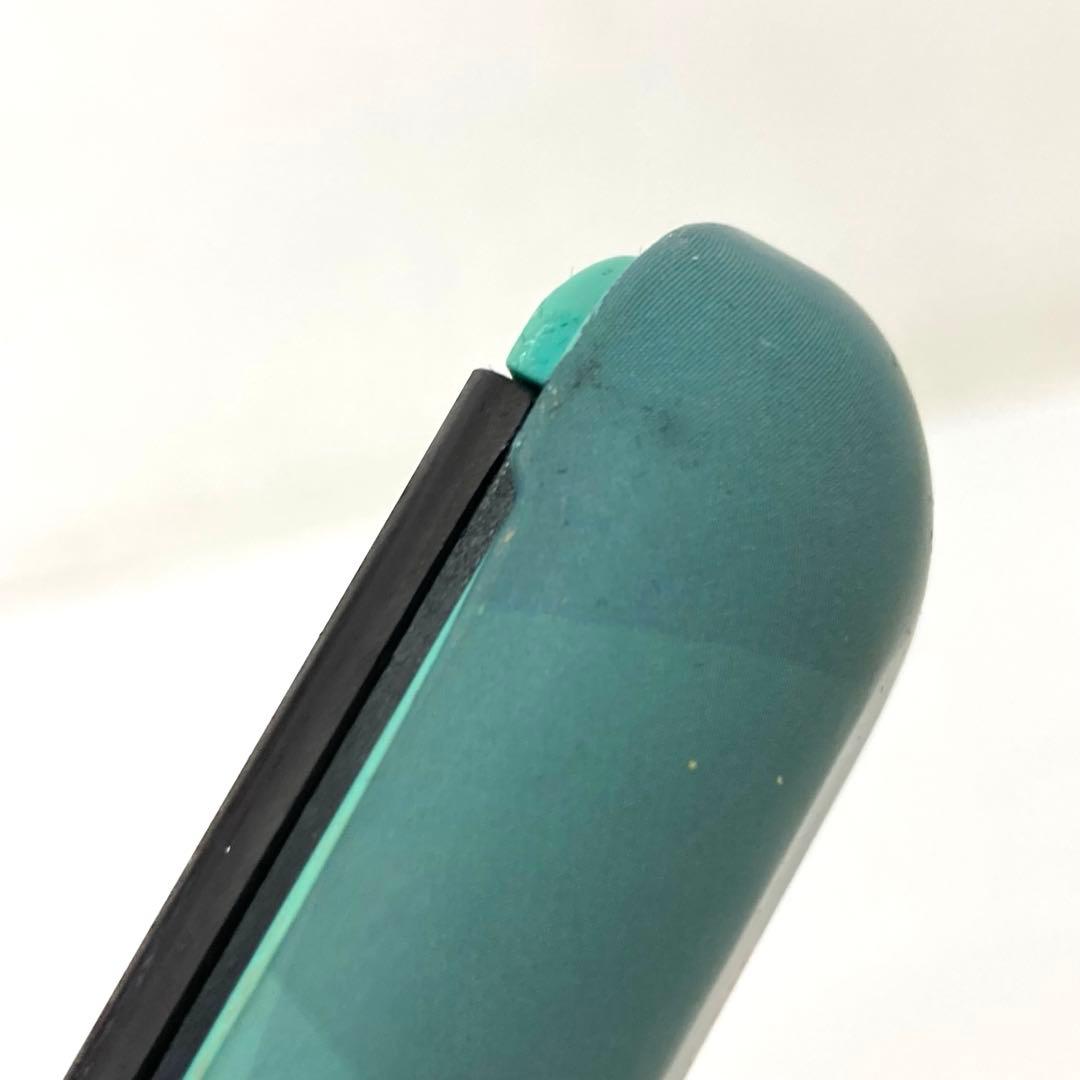 465-J BOUTANIC ヘアアイロン WDS38A ウミガメ ハワイ