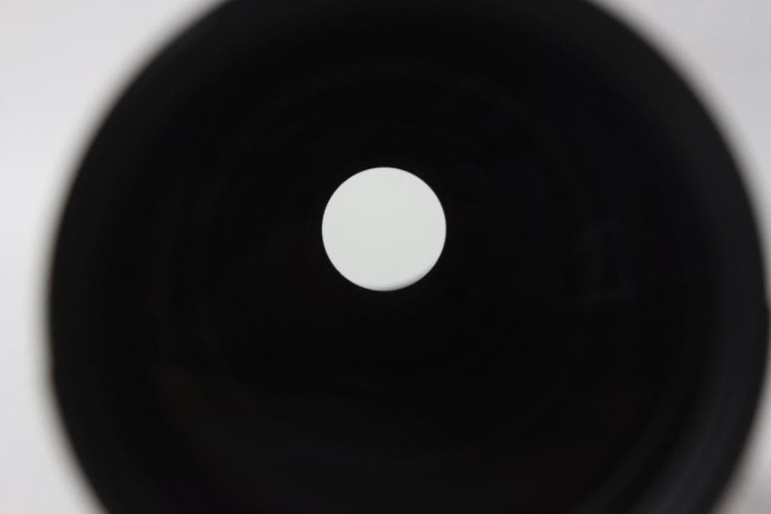 SIGMA APO 170-500mm 1:5-6.3 D Fマウント