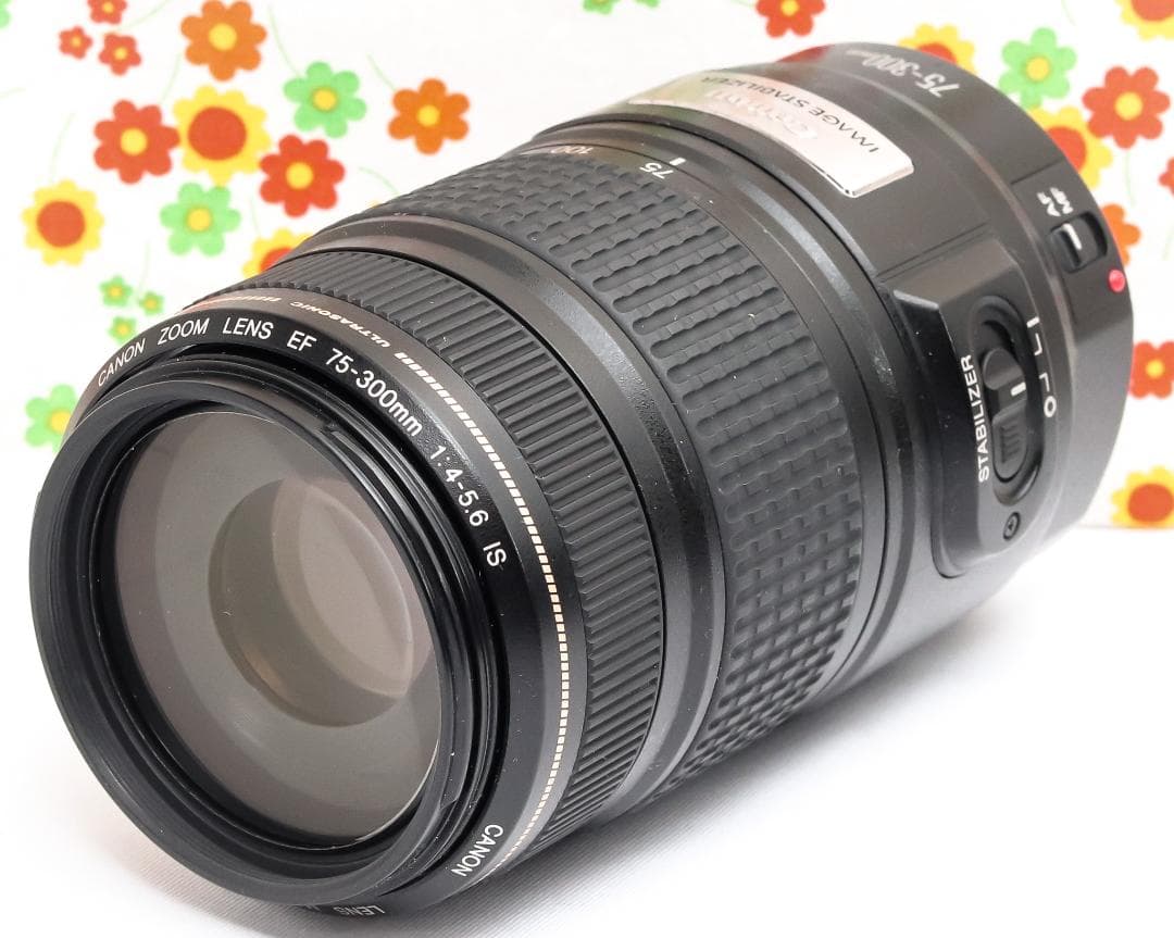 キャノン Canon EF 75-300mm IS USM☆超望遠レンズ☆