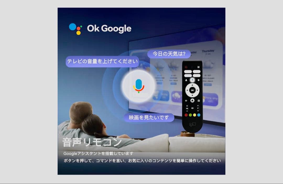 Google TV 32V 720P HD Paletteシリーズ