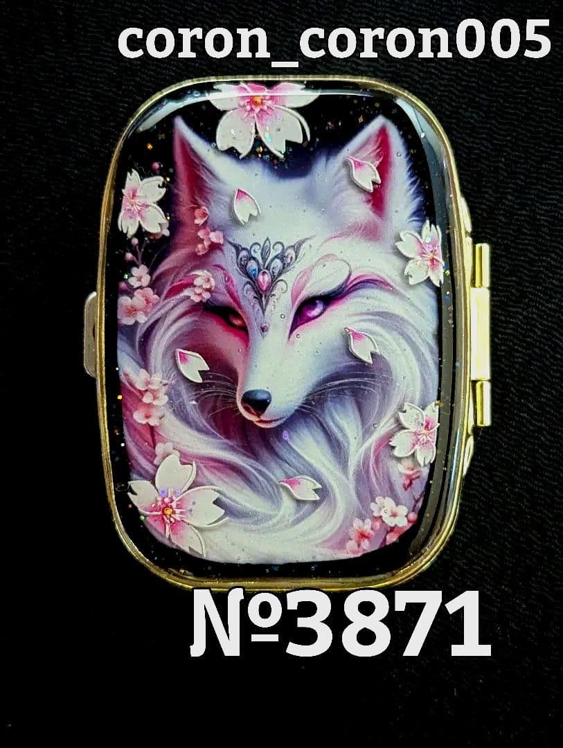 ✿のあーる様②·専用✿ハンドメイド　ピルケース