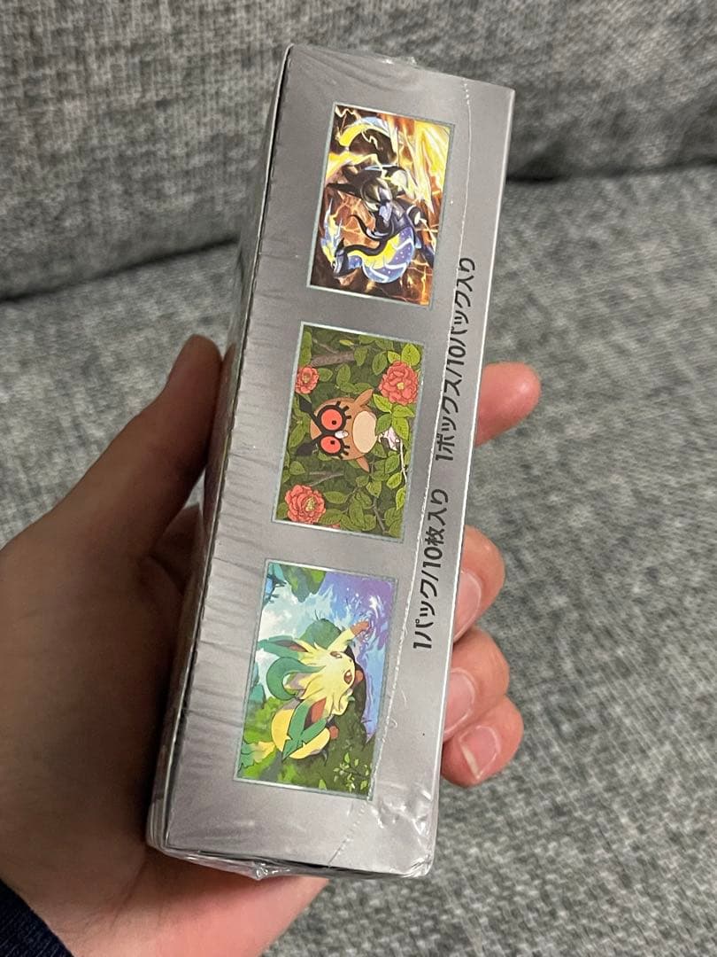 テラスタルフェスEX BOXシュリンク付き！