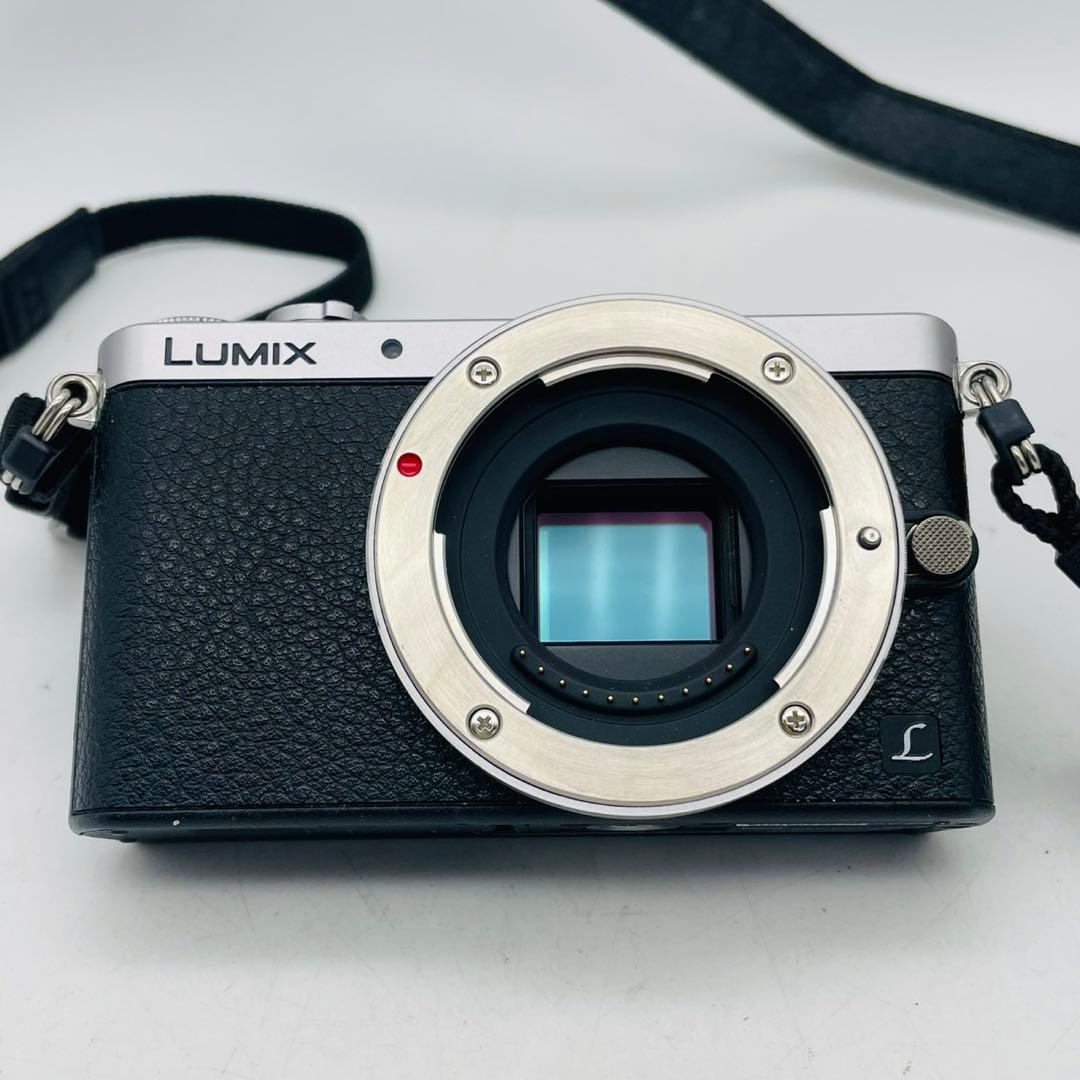 【美品動作確認済み】Panasonic LUMIX DMC-GM1