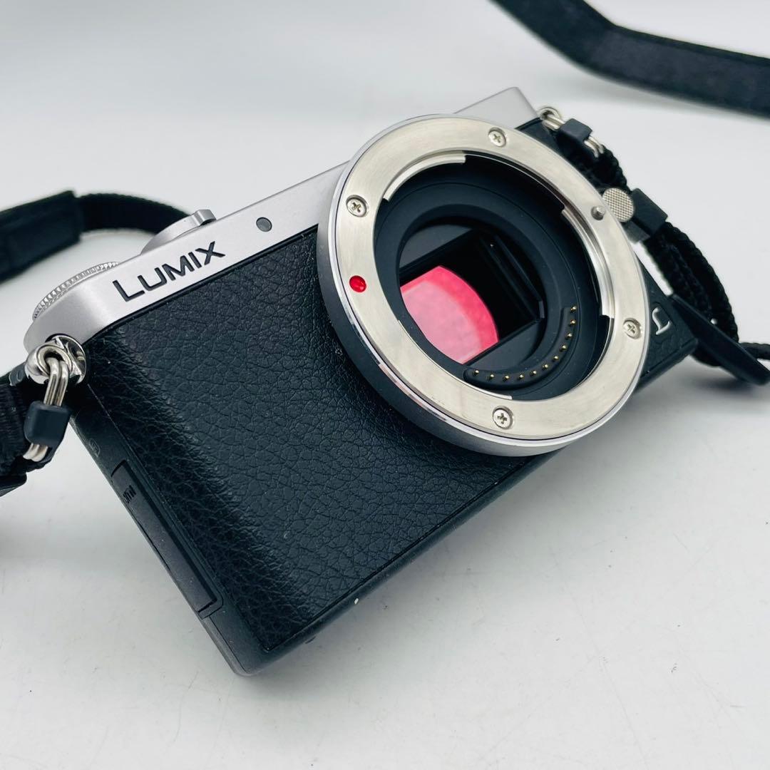 【美品動作確認済み】Panasonic LUMIX DMC-GM1