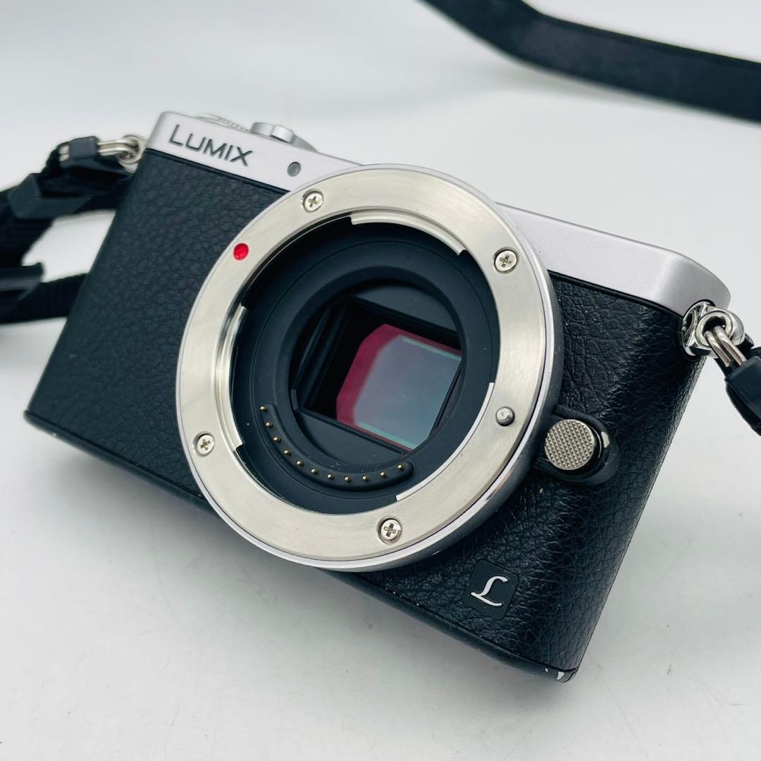 【美品動作確認済み】Panasonic LUMIX DMC-GM1