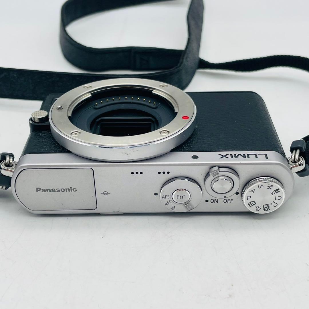 【美品動作確認済み】Panasonic LUMIX DMC-GM1
