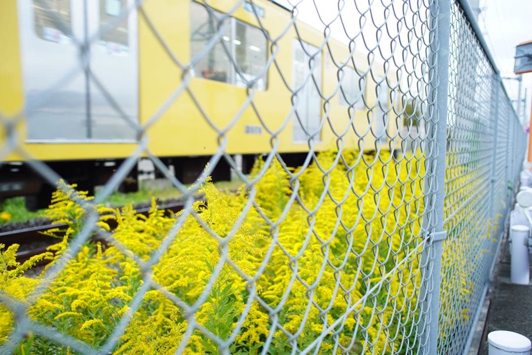 【動作確認済み】広角レンズ Canon FD 28mm f2.8 S.C.