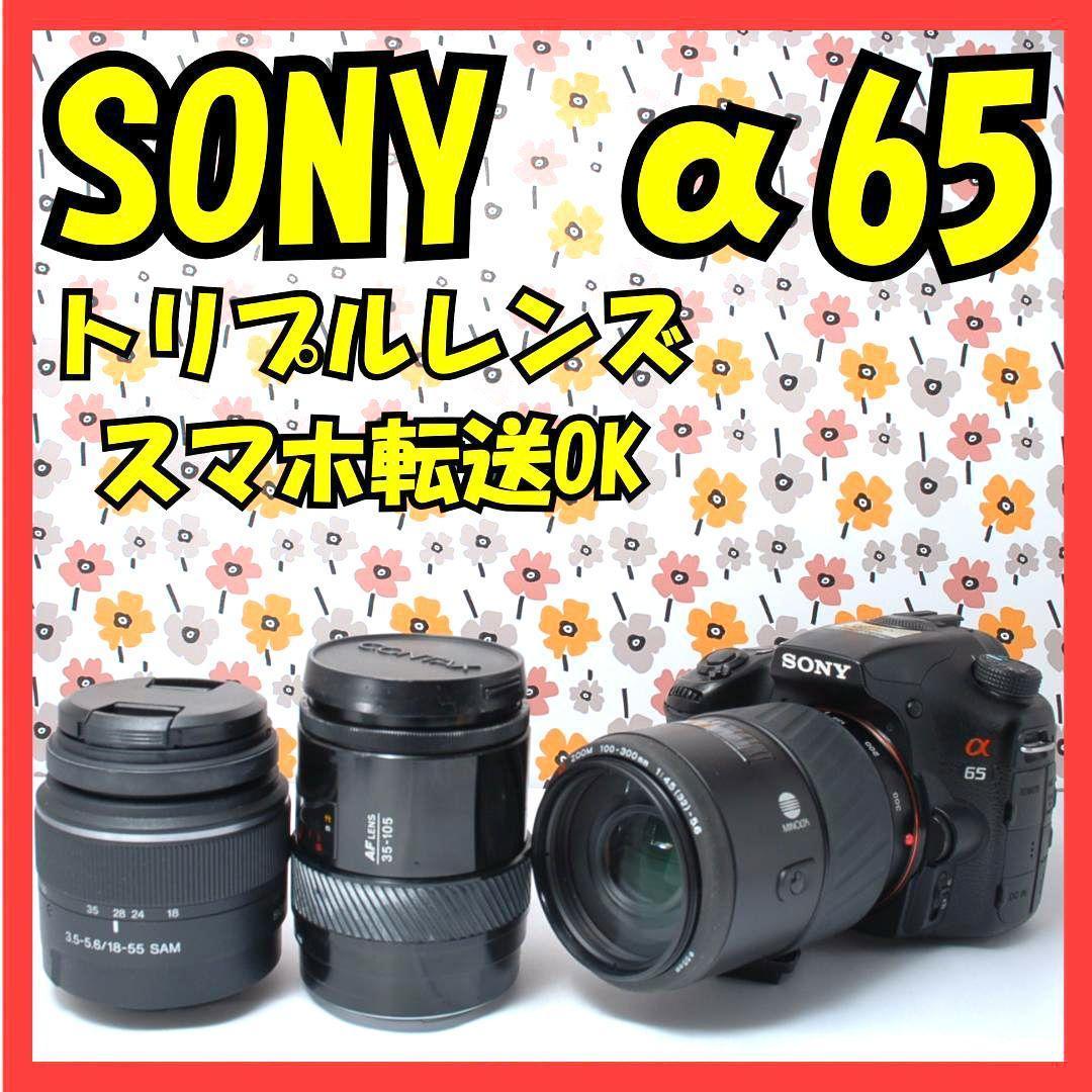 ❤SONY α65❤1秒10コマの高速連射❤トリプルレンズ❤超望遠❤超高画質❤