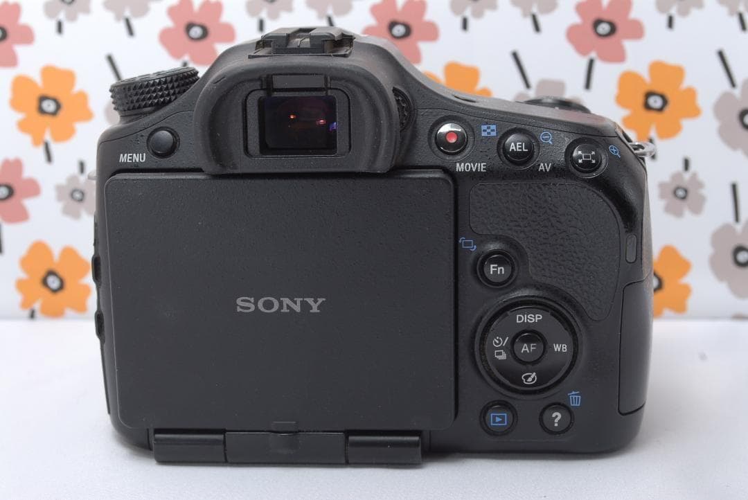 ❤SONY α65❤1秒10コマの高速連射❤トリプルレンズ❤超望遠❤超高画質❤