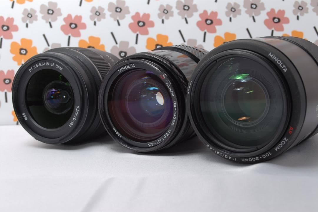 ❤SONY α65❤1秒10コマの高速連射❤トリプルレンズ❤超望遠❤超高画質❤