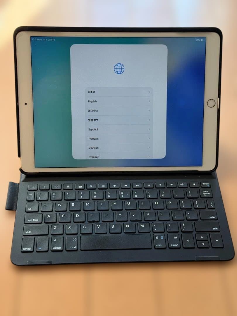 【256GB/cellularモデル】iPad Air（第3世代）本体