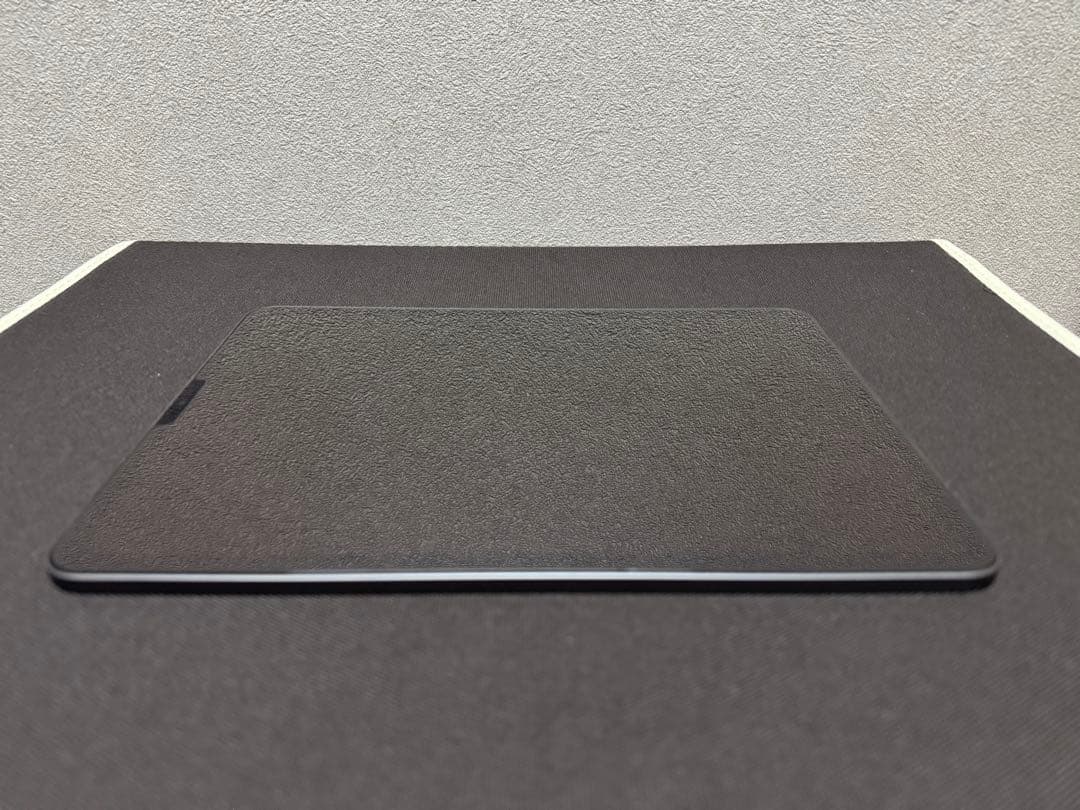 Apple iPad Pro 11インチ (第2世代) 本体