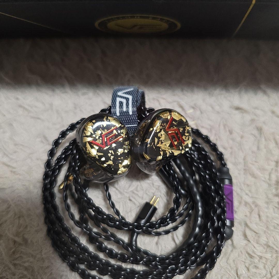 VISION EARS MEISTER Universal Fit 日本限定