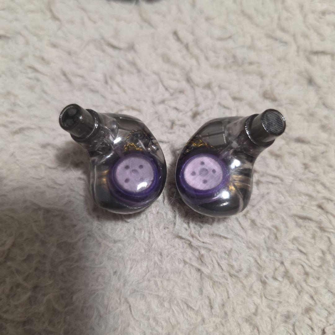 VISION EARS MEISTER Universal Fit 日本限定