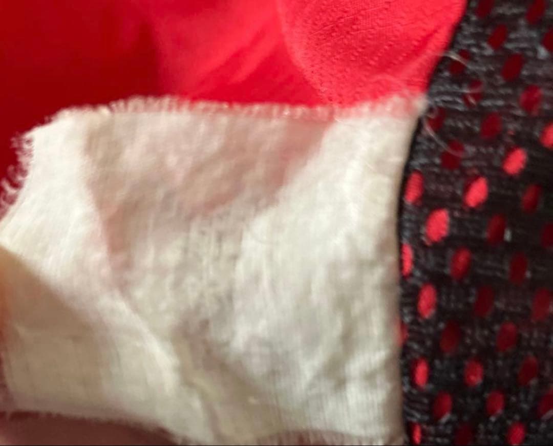 Patagonia パーカー　ブルーリボン