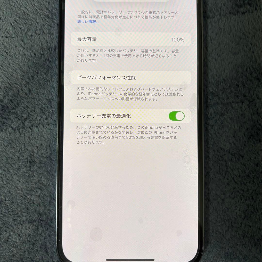 【バッテリー100%】iPhone13ProMax 256GB SIMフリー