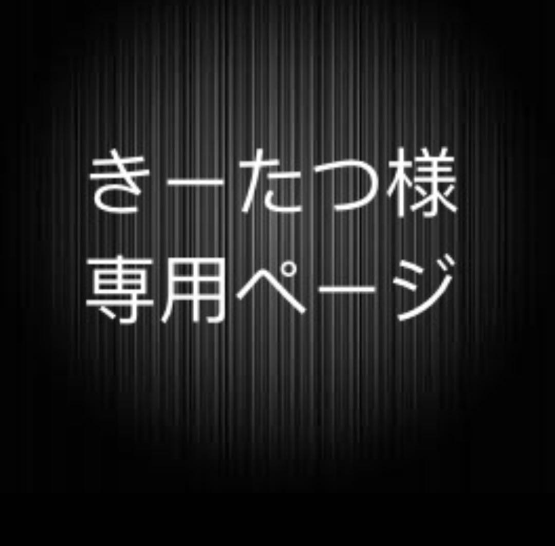 きーたつページ