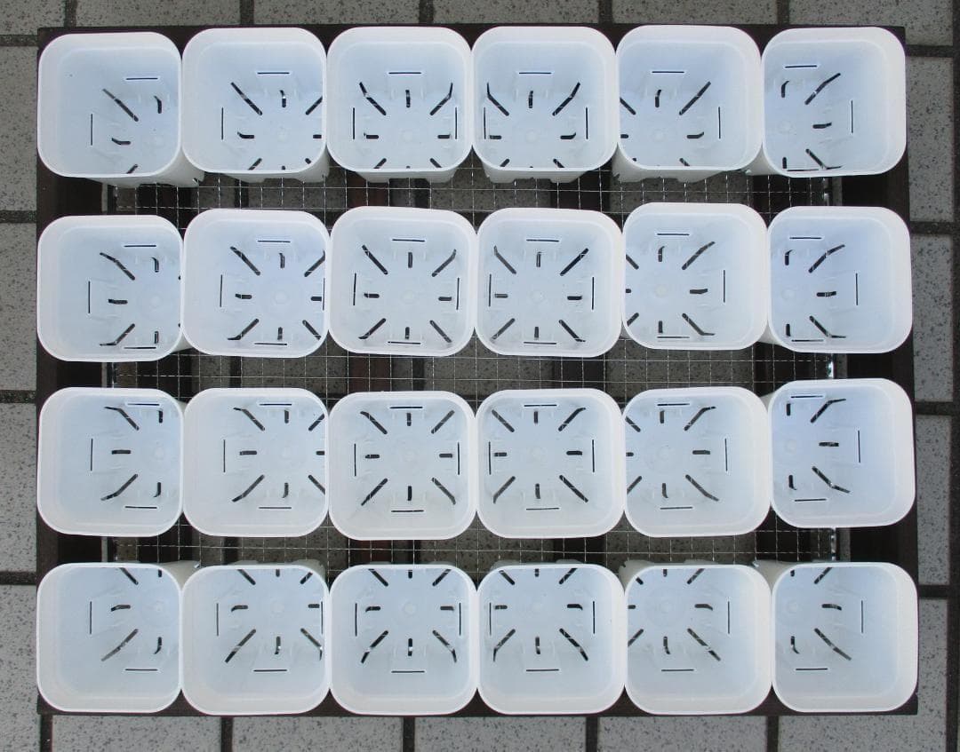 期間限定　５段トレー　多肉棚　プランター　スタンド　多肉植物棚　ラック　アガベ