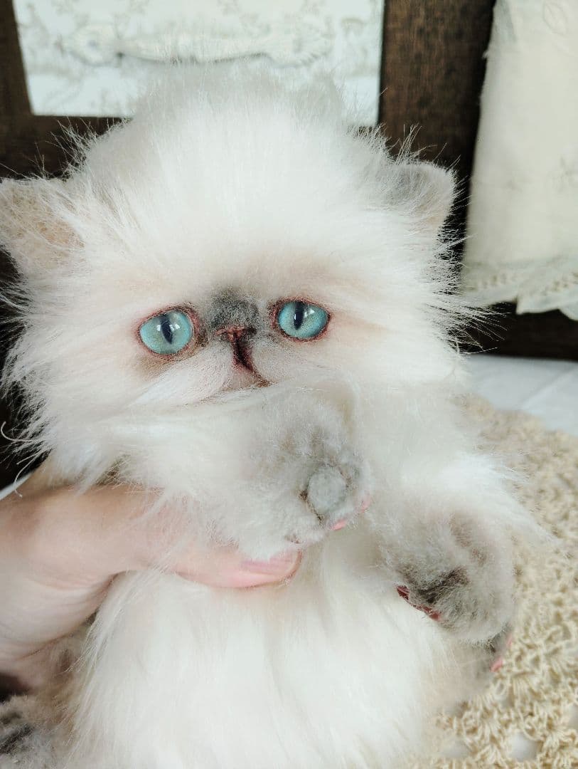ヒマラヤン♡子猫のミミちゃん♡アートドール♡ぬいぐるみ♡