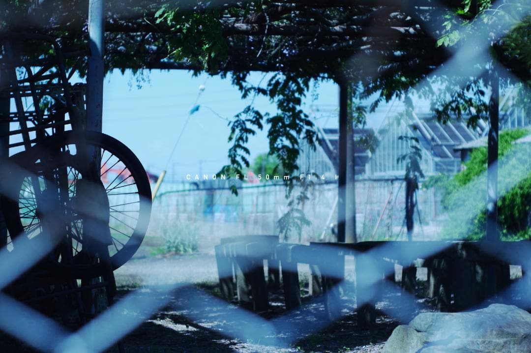 ★美品★ キャノン CANON FL 50mm F1.4 I 単焦点レンズ