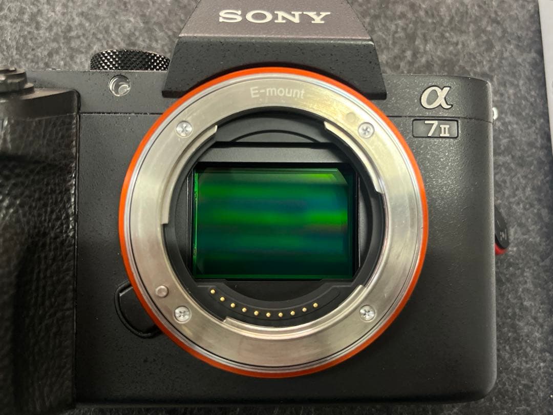 SONY α7Ⅱ ILCE-7M2 アンカーリンクス　予備電池　レザーケース