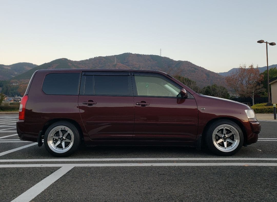 ロンシャン風15インチ pcd100 8j オフセットプラス20