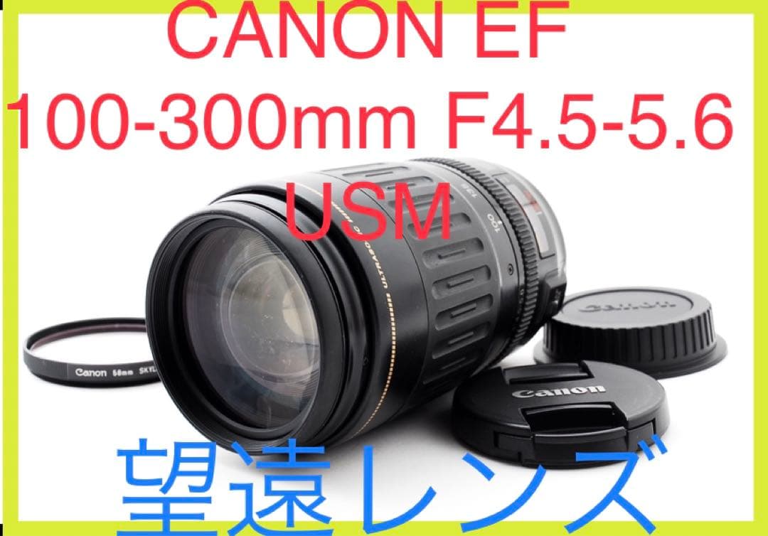 ☆良品☆キヤノン CANON EF 100-300mm F4.5-5.6 USM