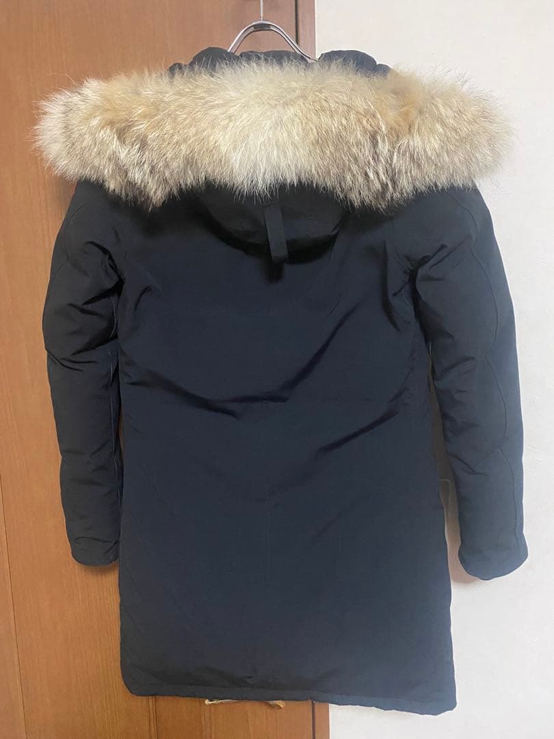   /BRONTE ブロンテ-BK/M.