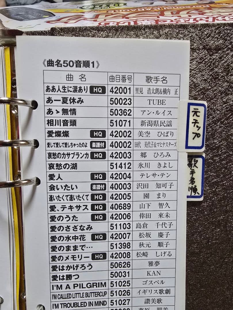 オンステージカラオケ PK-110GT(N)ゴールド※ペアマイク&追加チップ付き