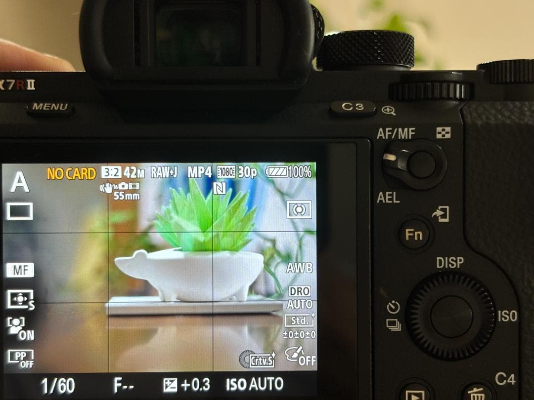 【実用品】ソニー SONY α7R Ⅱ (ショット数66,352枚)