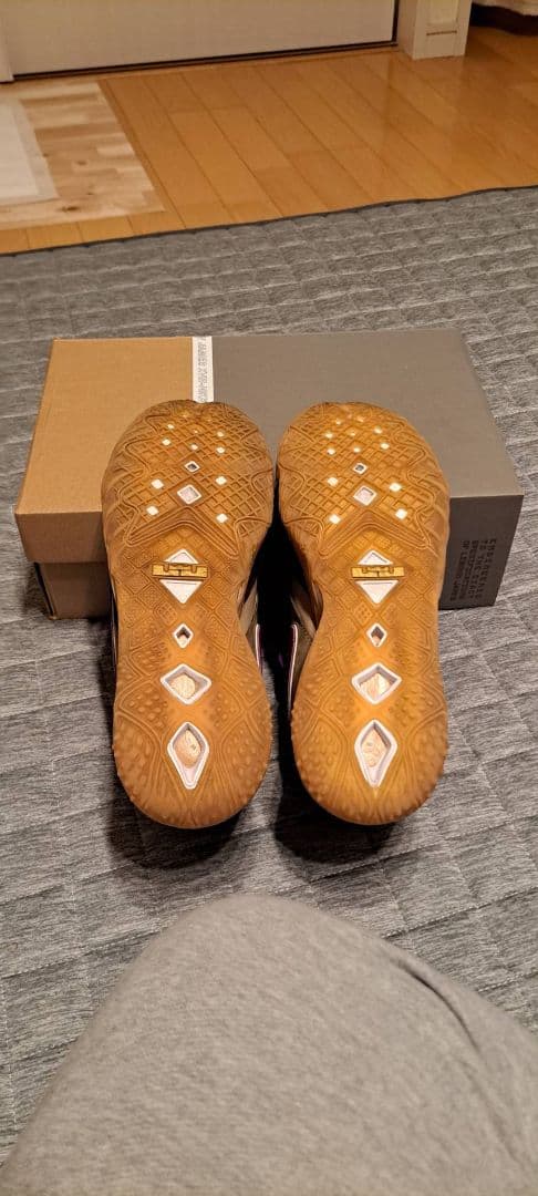 【極美品】ナイキ レブロン18 ロー バイオテック 29.0cm