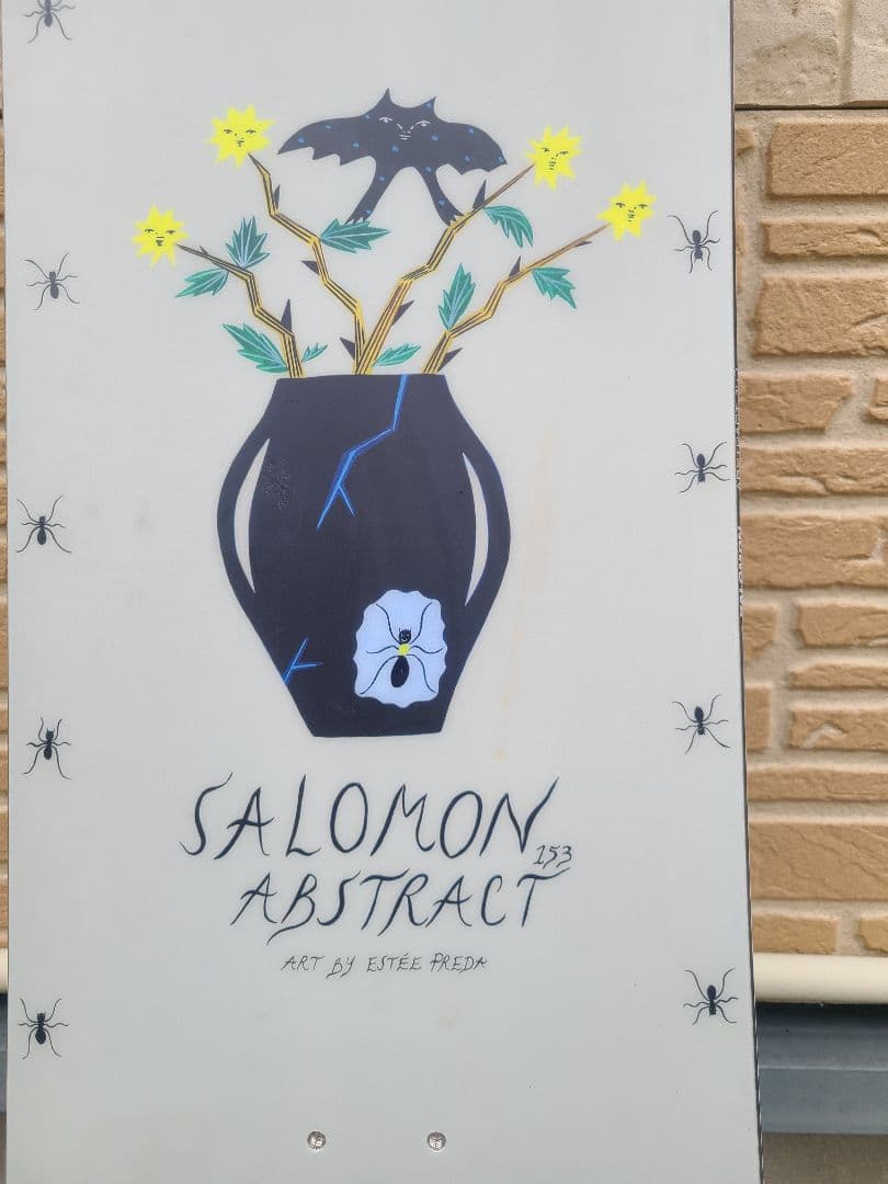 24-25 salomon abstract 153㎝