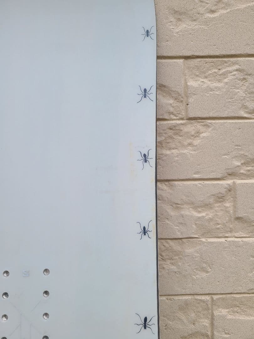 24-25 salomon abstract 153㎝