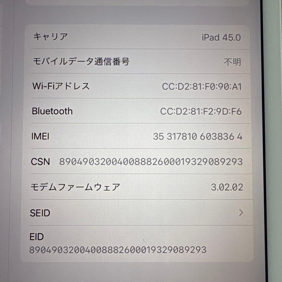 iPad mini5 セルラー 64GB SIMフリー(67)
