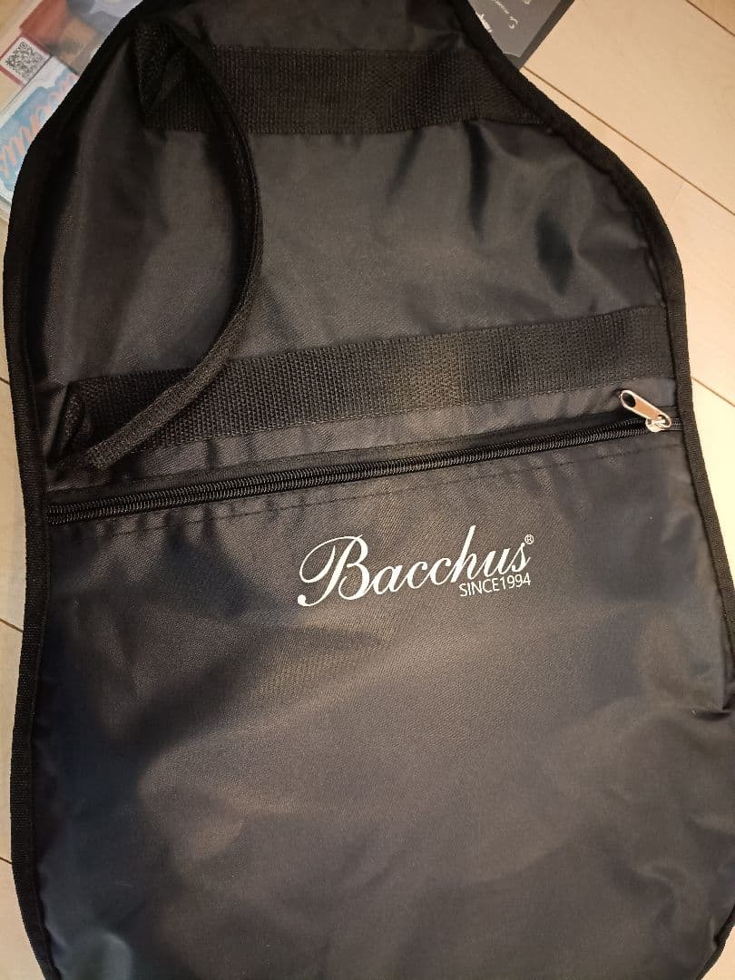 Bacchus BTE-2-RSM/M 3TS エレキギター