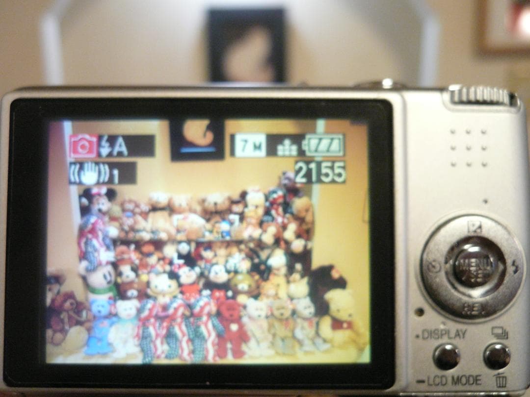 LUMIX★DMC-FX07⚠️必読有⭐️美品⭕️安心の実働品★シルバー