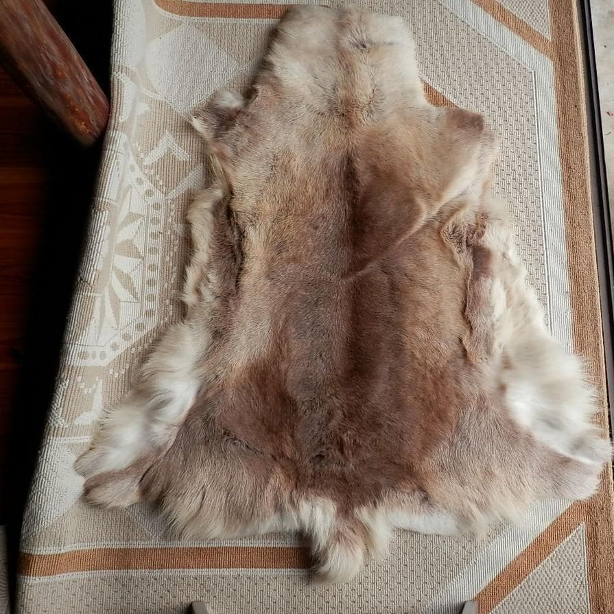 トナカイ毛皮　赤毛　きのこマット付き