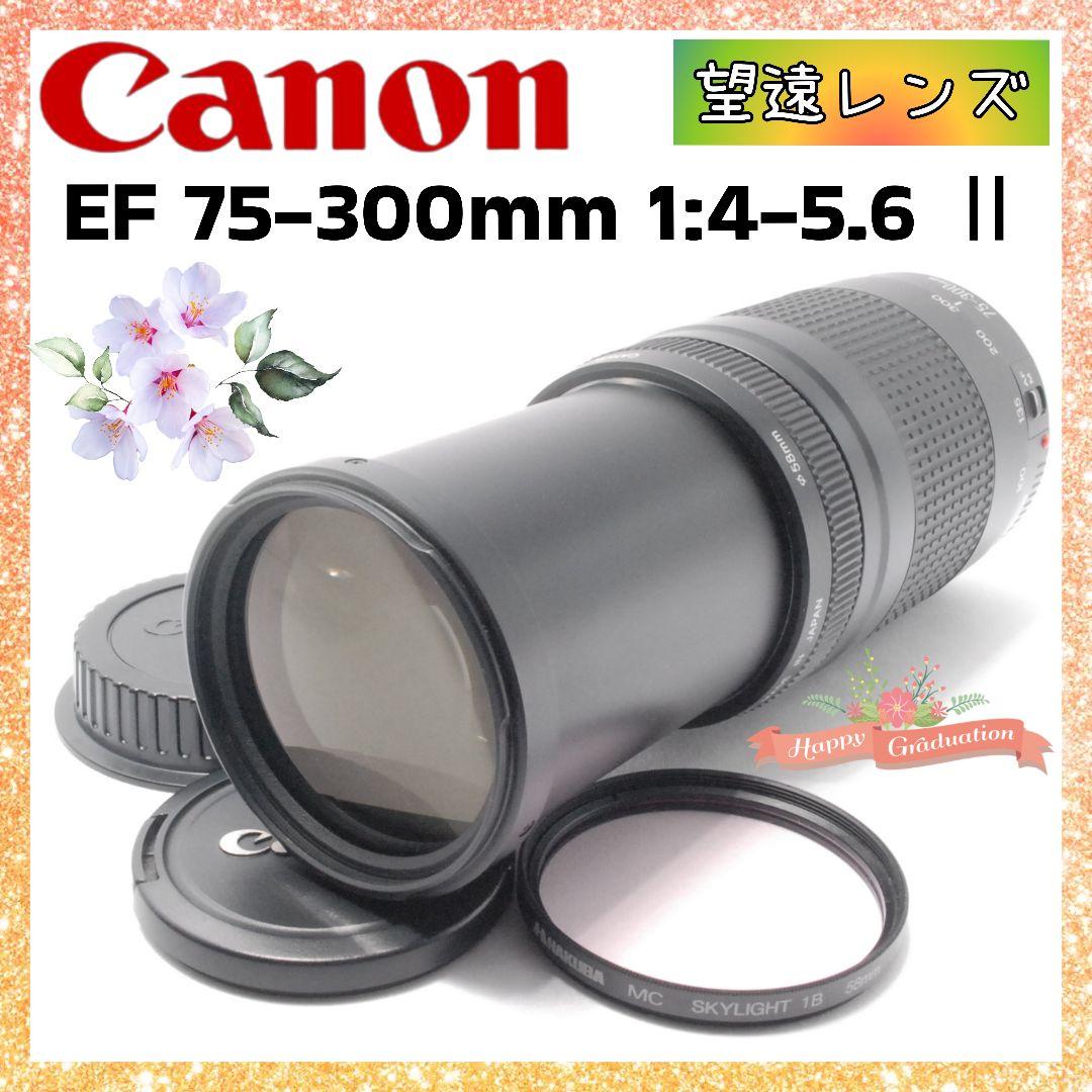 キャノン Canon EF 75-300mm 望遠レンズ 距離を超えて想いを掴む