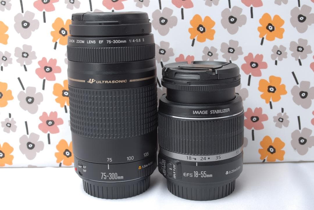 ❤Canon Kiss X9i❤超望遠レンズ❤一眼レフカメラ❤持ち運び用バッグ付