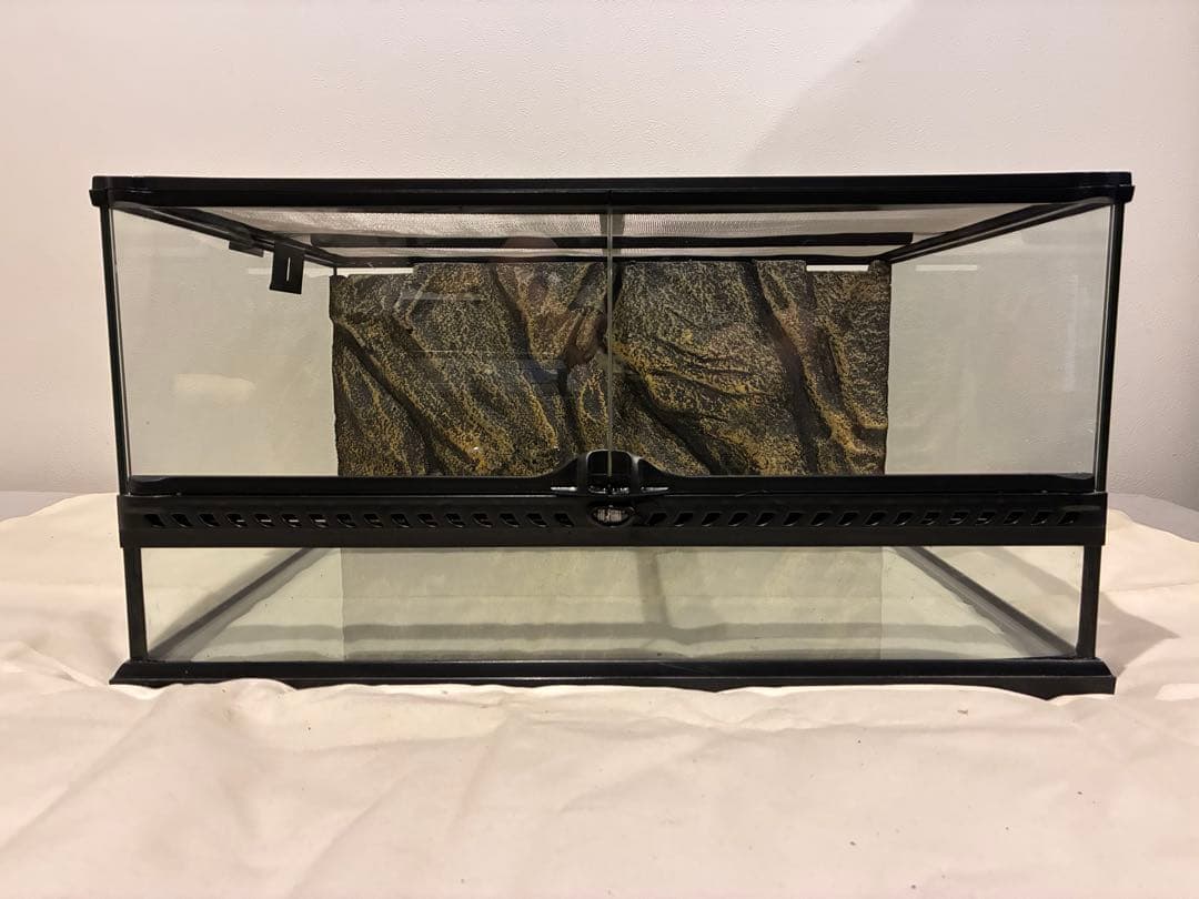 エキゾテラ グラステラリウム 6030 ガラスケージ GEX 爬虫類