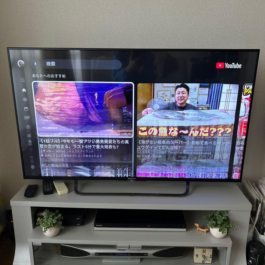 SONYブラビア49インチ