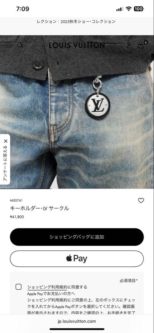 Louis Vuitton キーホルダー・IV サークル